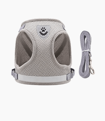 Matching Leash
Included