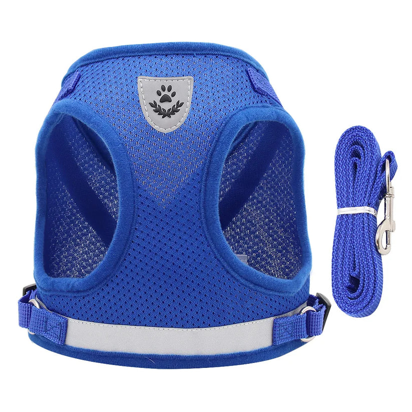 Pawfect Care GlowWalk harness product view