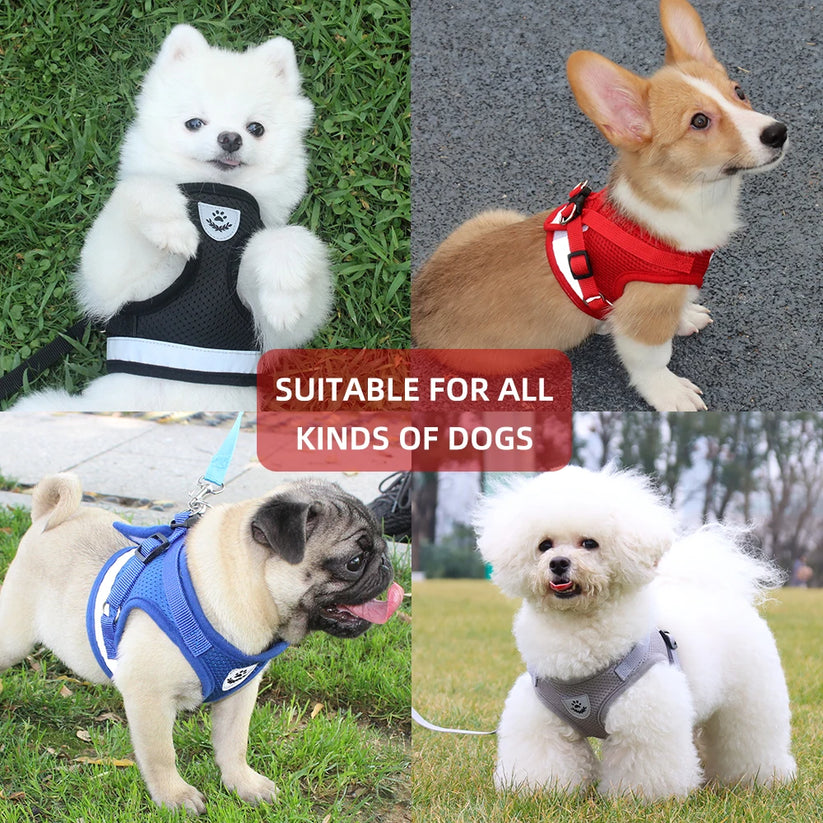 Mesh-style dog walking harness design
