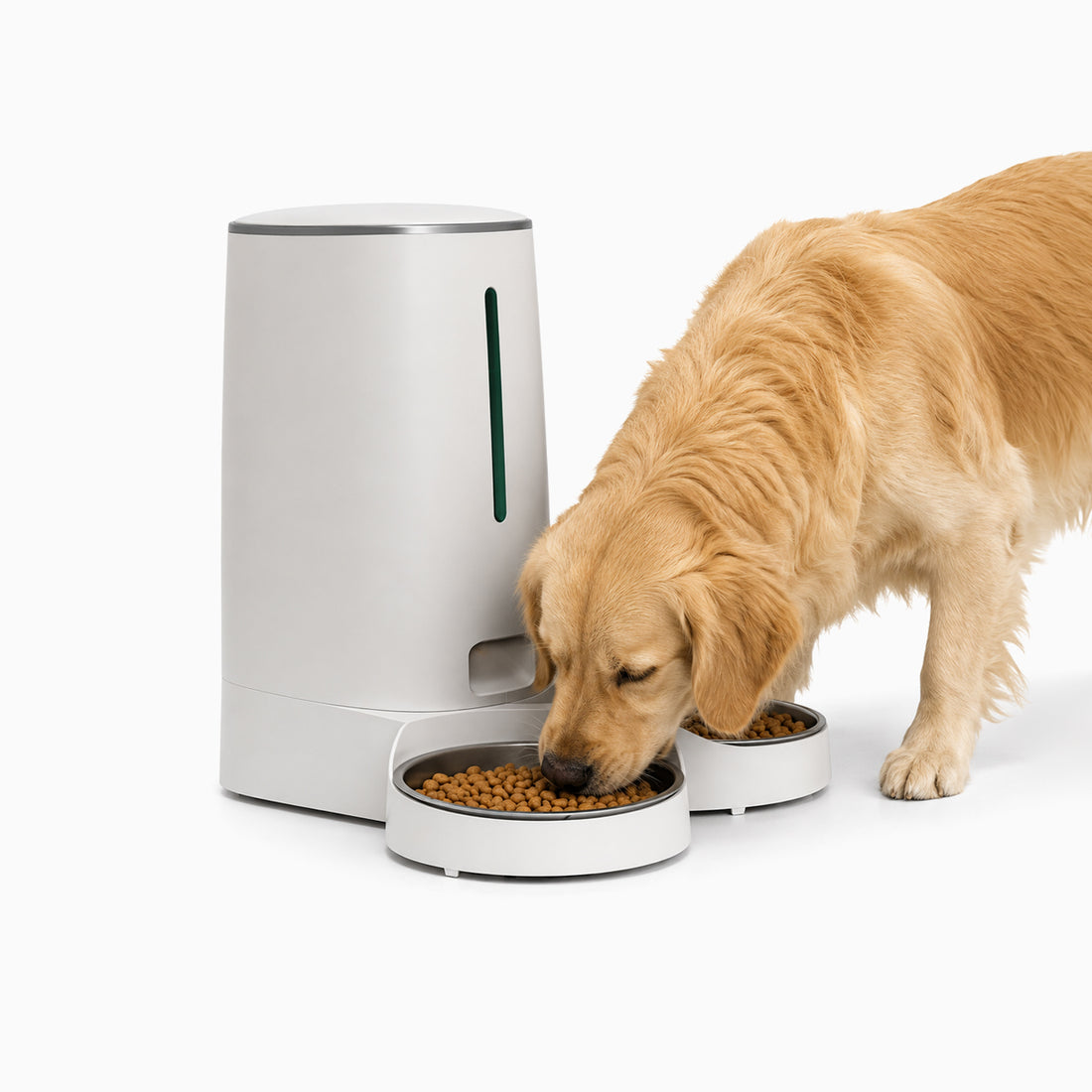 Pawfect Care DuoFeed™ 4L Smart Dual-Bowl Pet Feeder