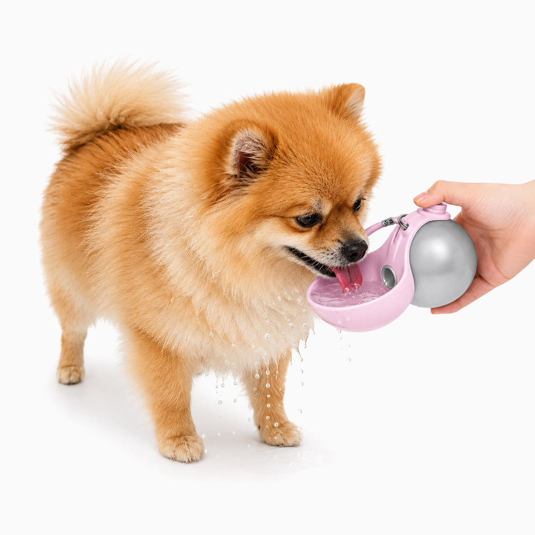 Pawfect Care SipGo™ Stainless Steel Travel Dog Water Bottle