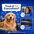 Pawfect Care GroomEase grooming glove product detail