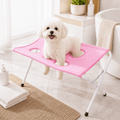 Pawfect Care GroomDock foldable pet grooming stand