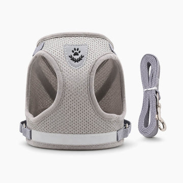 Pawfect Care GlowWalk reflective dog harness and leash set