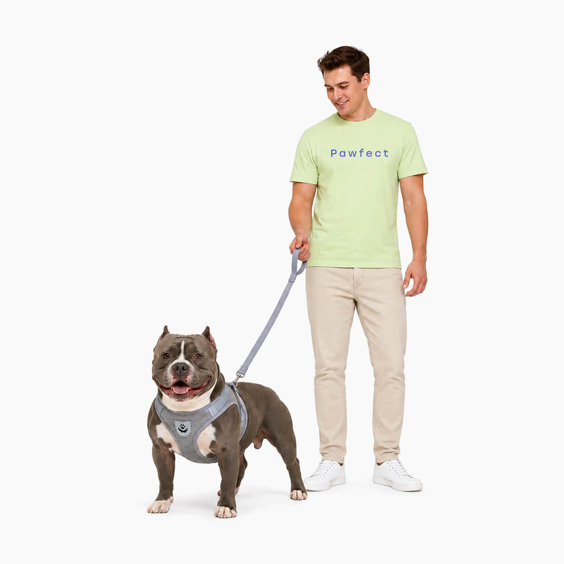Pawfect Care GlowWalk reflective dog harness and leash set