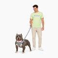 GlowWalk vest-style dog harness with matching leash
