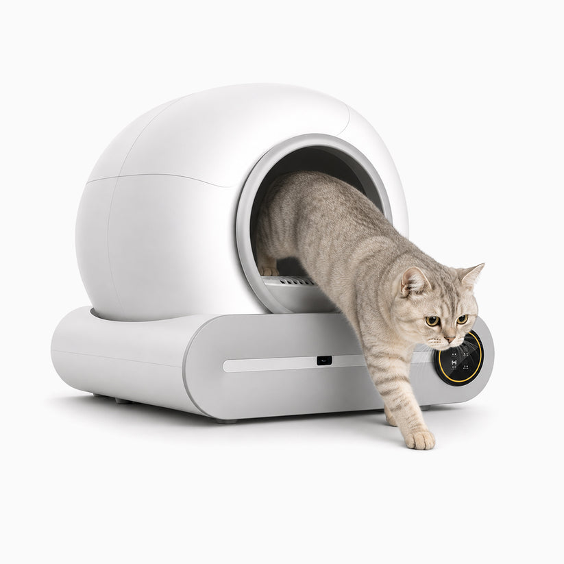 Pawfect Care LitterEase™ 65L Smart Self-Cleaning Cat Litter Box