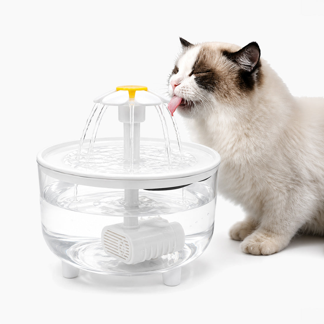 Pawfect Care FlowSip™ 1L Pet Water Fountain