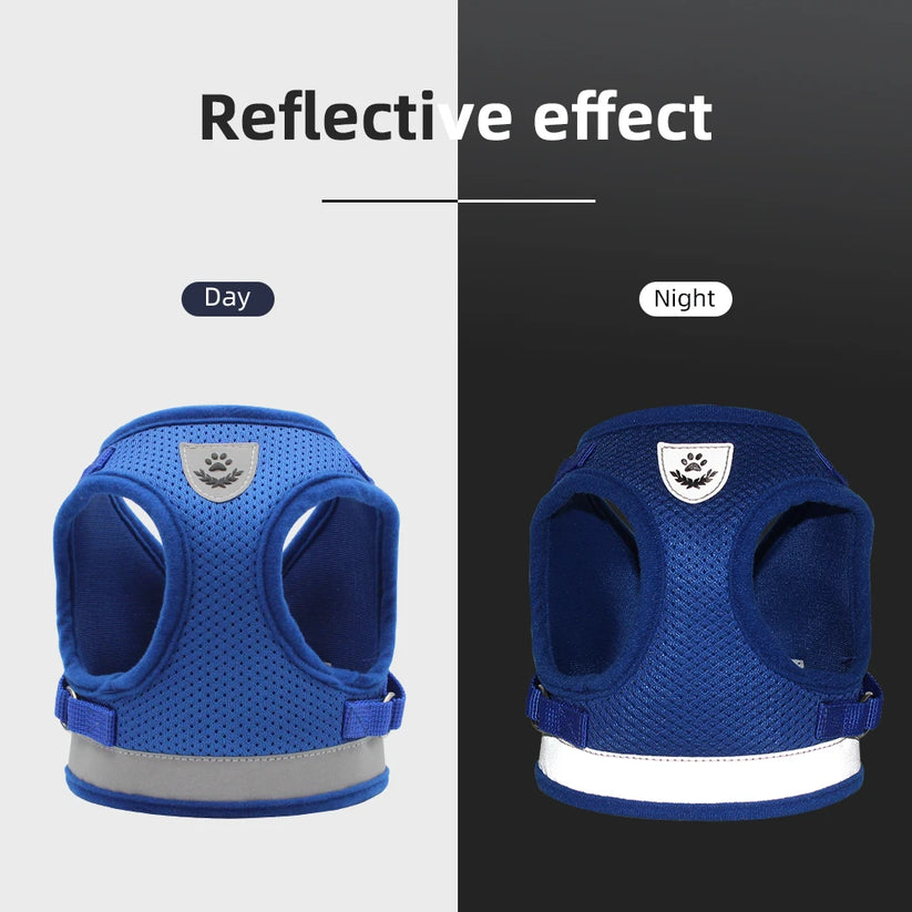 Reflective harness and leash attachment detail