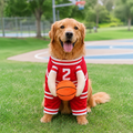 Front view of dog wearing red HoopHero basketball pet costume