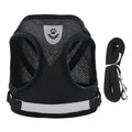 Dog harness and leash set for everyday walks