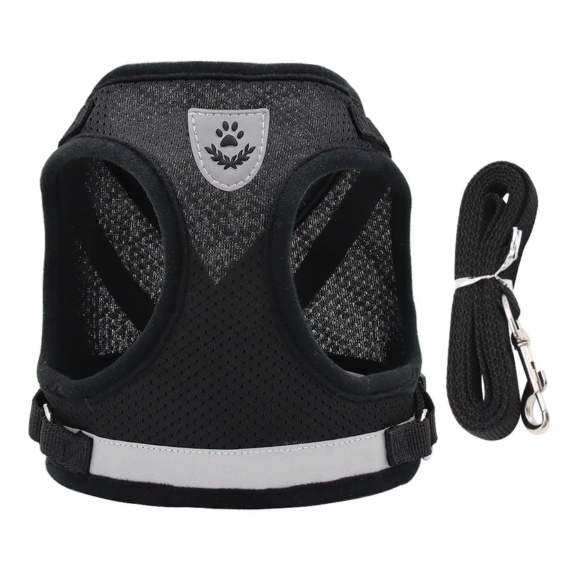 Dog harness and leash set for everyday walks