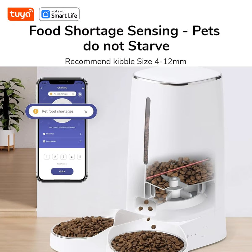 4L smart pet feeder for cats and dogs