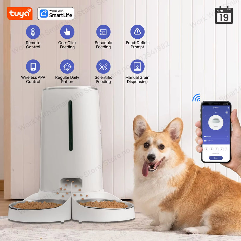 White automatic pet feeder with two stainless steel bowls